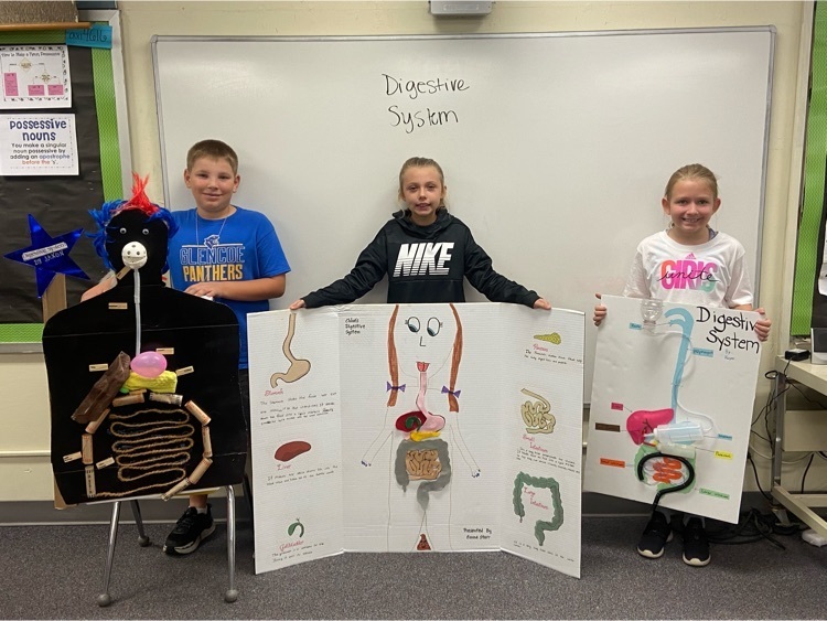 Digestive System