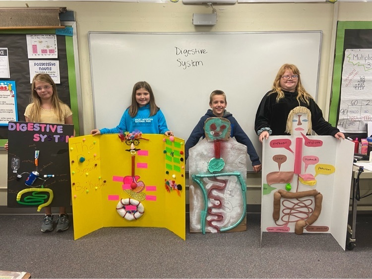 Digestive System