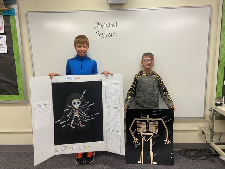 Skeletal System