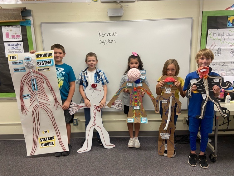 Nervous System